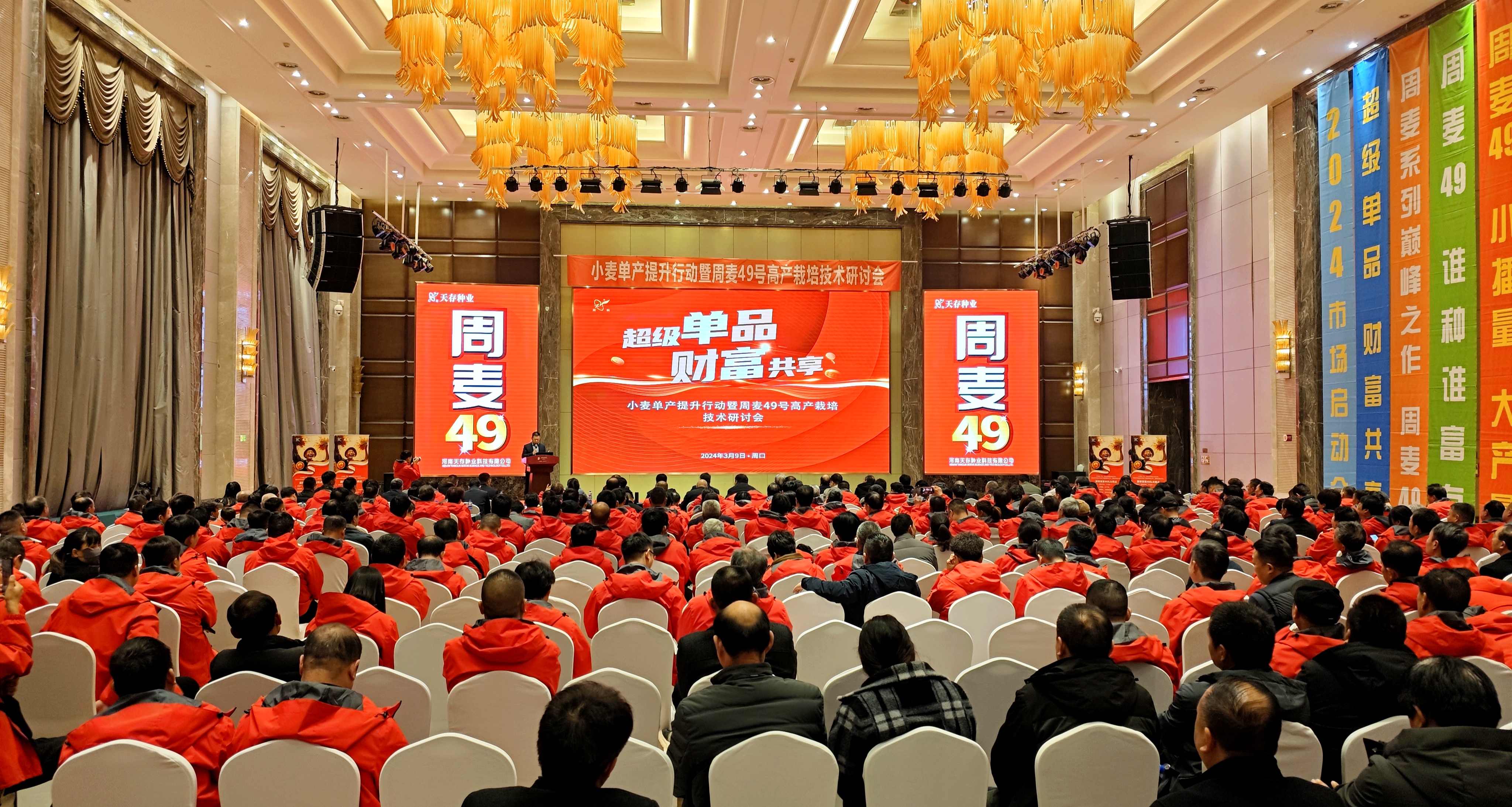 小麦单产提升行动暨周麦49号高产栽培技术研讨会举办-大象网