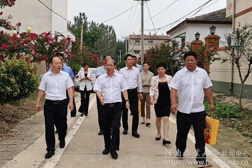 乡村振兴面对面:五星党支部照亮冯老村-大象网