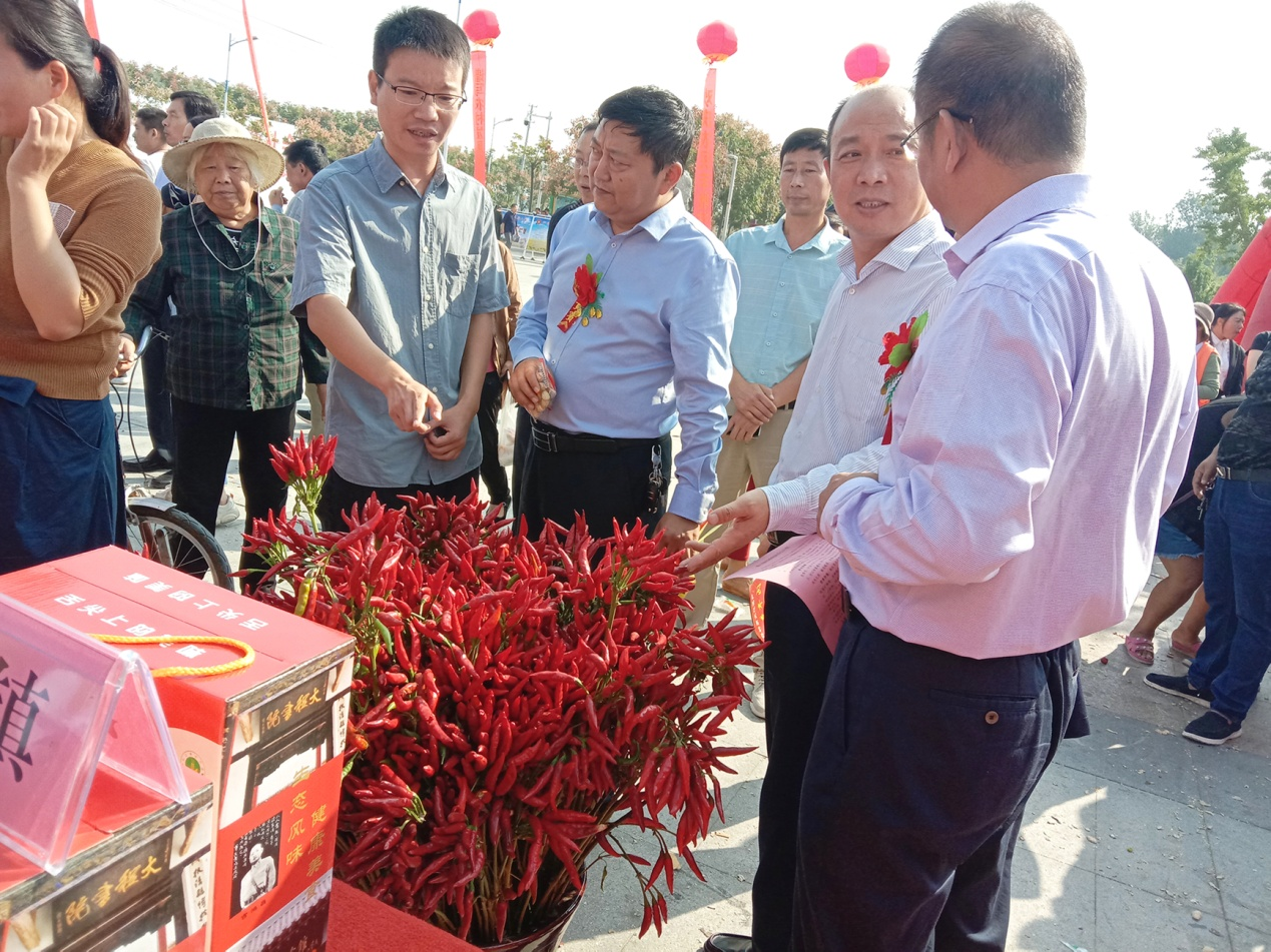 乡村振兴面对面 :辣椒赋能乡村振兴-大象网