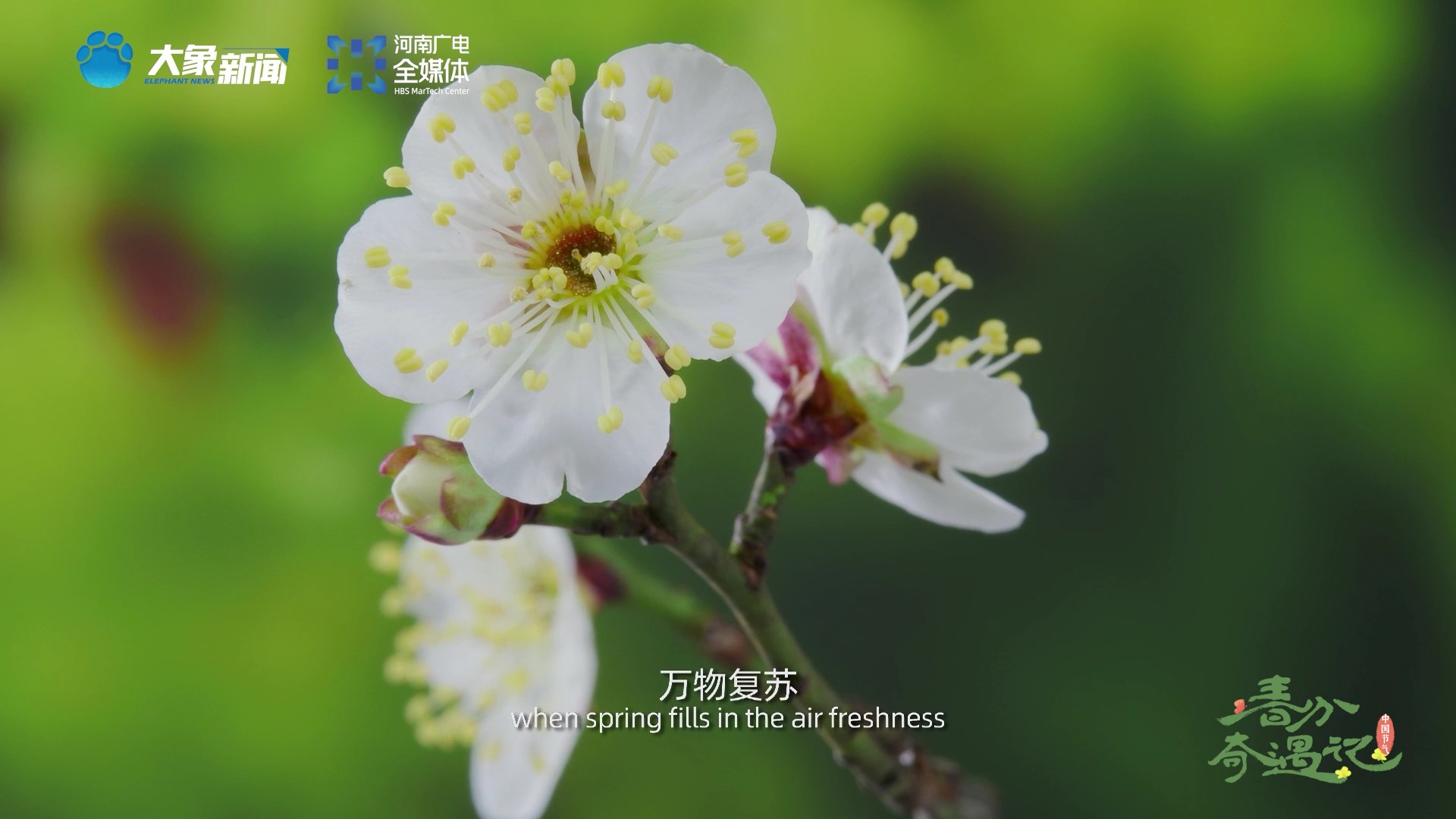 100首描写春天的古诗,美得令人心醉…(赶紧给孩收藏了)-大象网