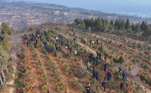 2024年河南全省计划造林152.86万亩