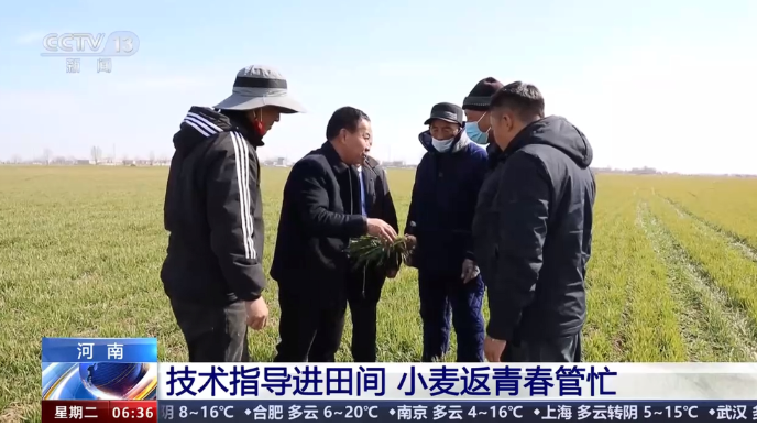 央媒看河南丨关注河南春管、植树造林等内容