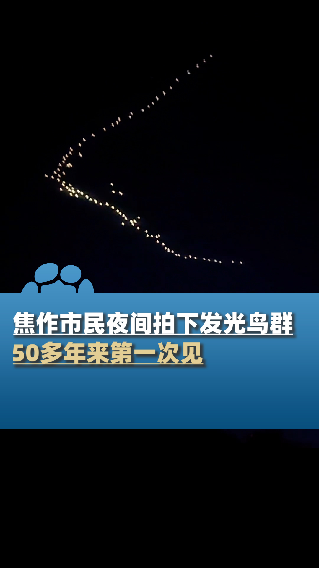 市民夜间拍下发光鸟群目击者50多年来第一次见