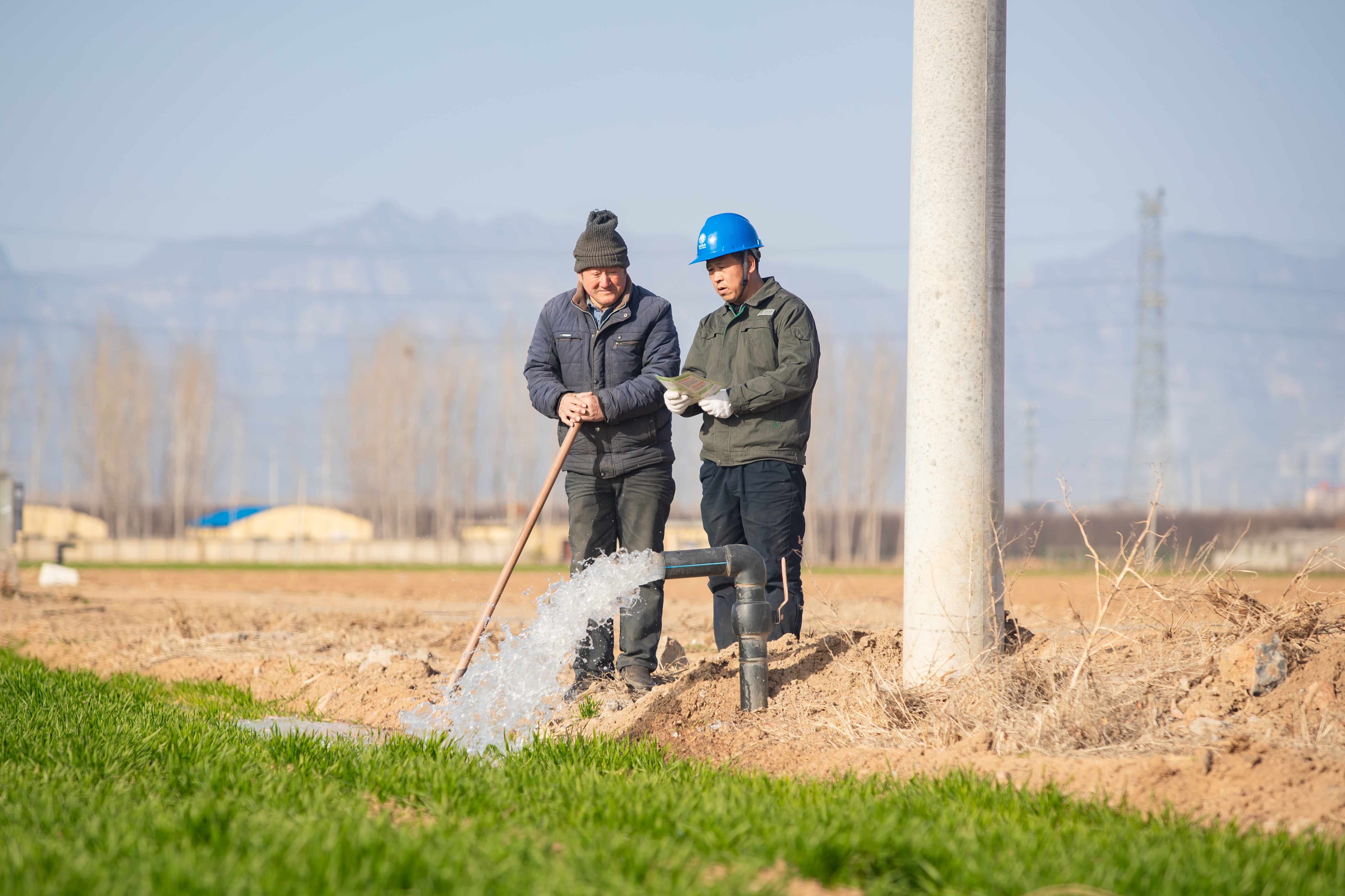 3月15日,济源市轵城镇绮里村的小麦"水肥一体化"高产示范方满地翠绿
