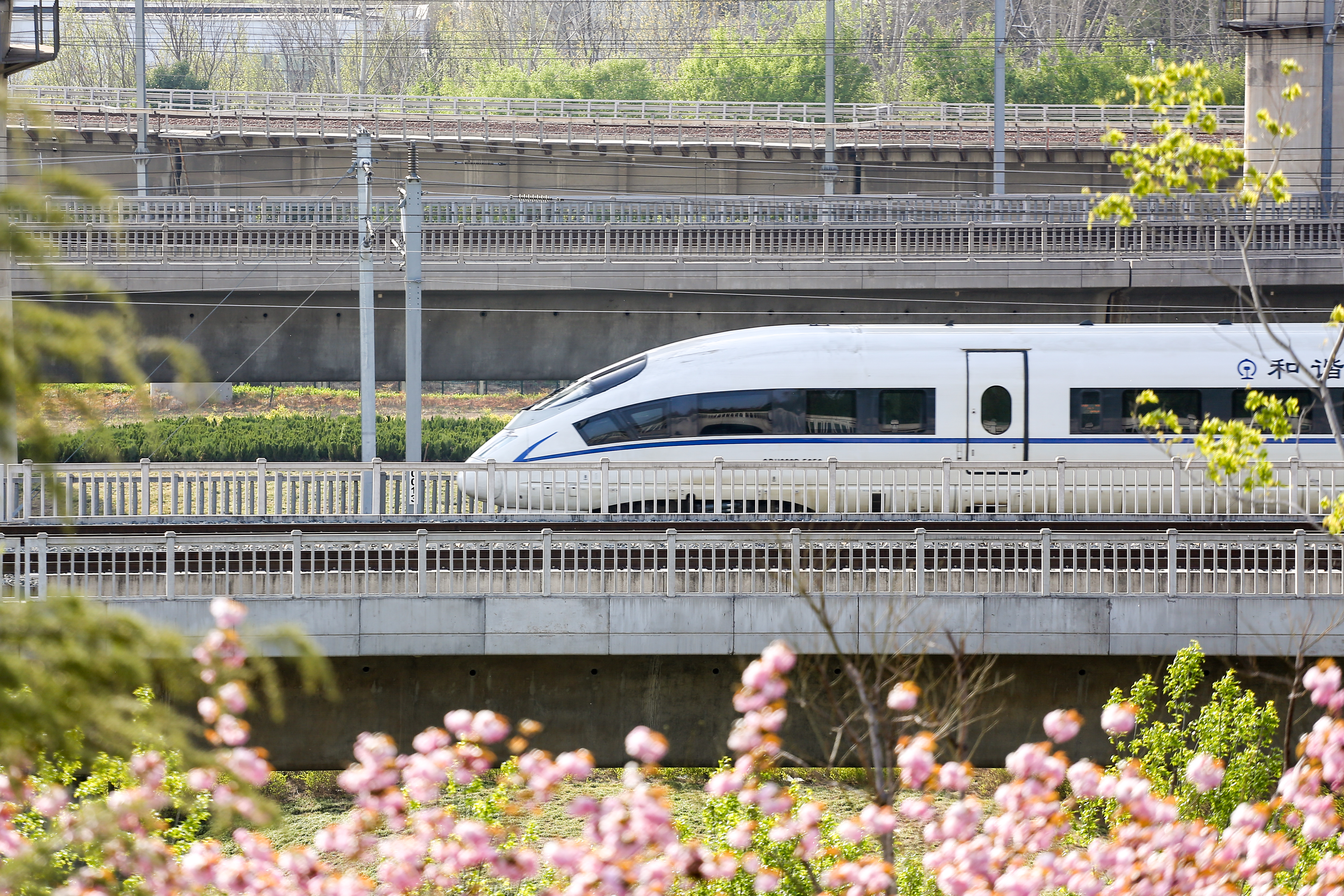 春游旅客出行范围已由郑州,洛阳,安阳等高铁"干线"城市向濮阳,周口