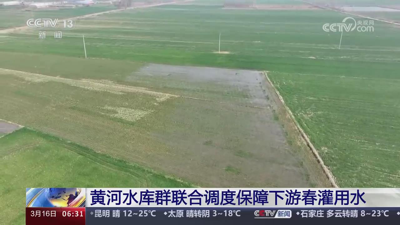 【央视关注河南】黄河水库群联合调度保障下游春灌用水