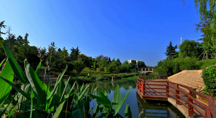 鹤壁市淇滨区,园林力量助推优化营商环境-大象网