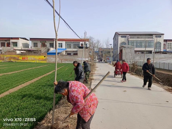 封丘县城关乡:实施全域绿化,助推环境提升-大象网