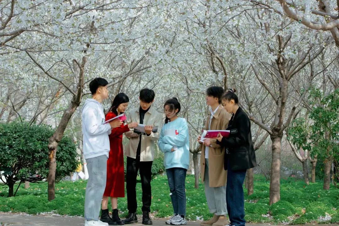 河南高校"校花"来啦,你pick哪家?-大象网