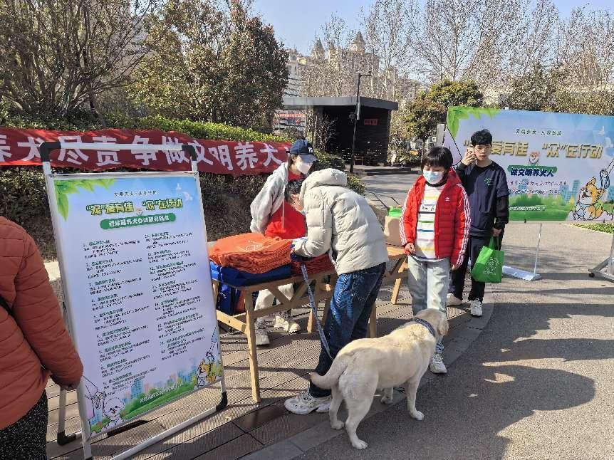 郑州市禁养犬只图例图片