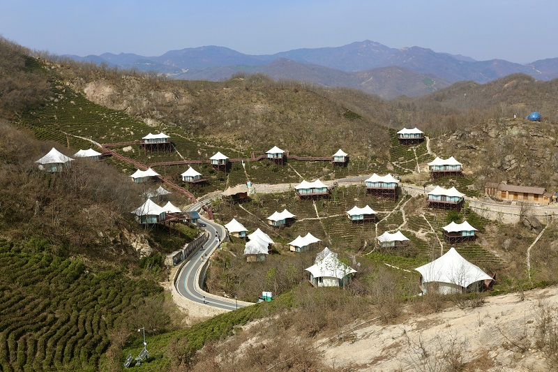 信阳市浉河区:专心致"质"有实招 文旅发展迸活力-大象网