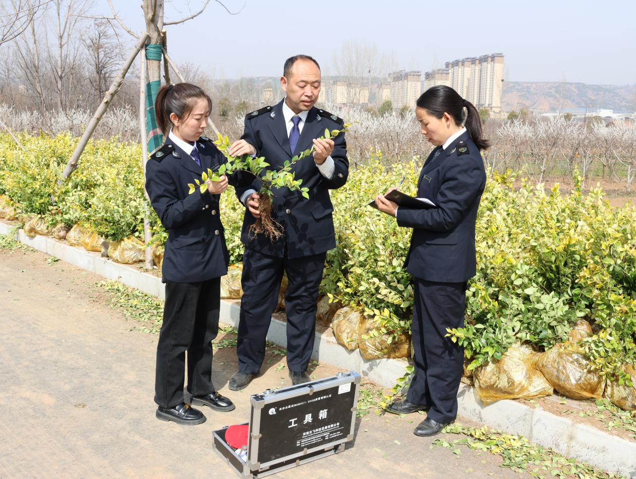 灵宝市林业局:严把"三关" 扎实做好春季苗木检疫工作-大象网