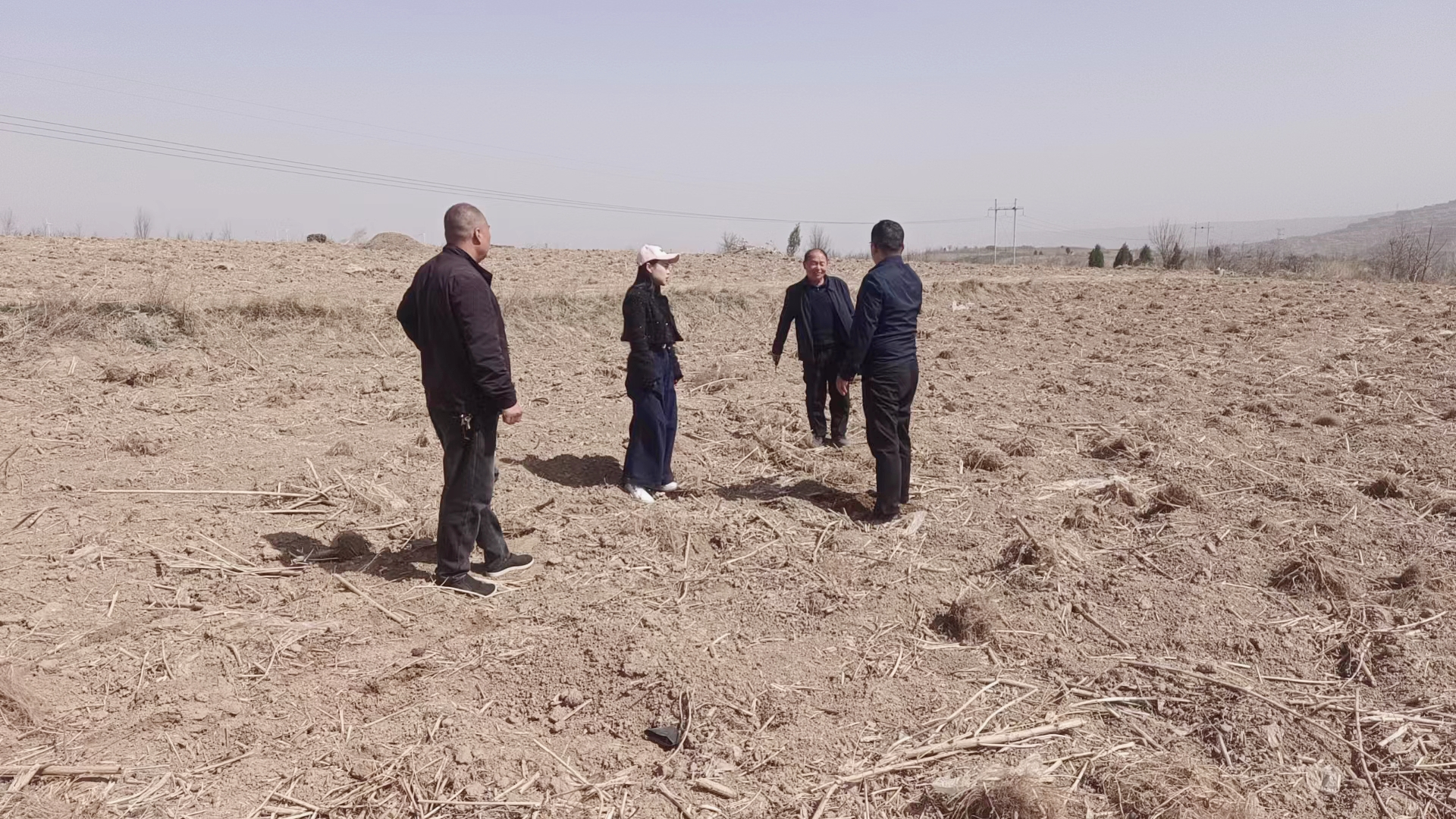 灵宝市水泉头乡书记邀请专家至水泉头村指导中药材种植-大象网