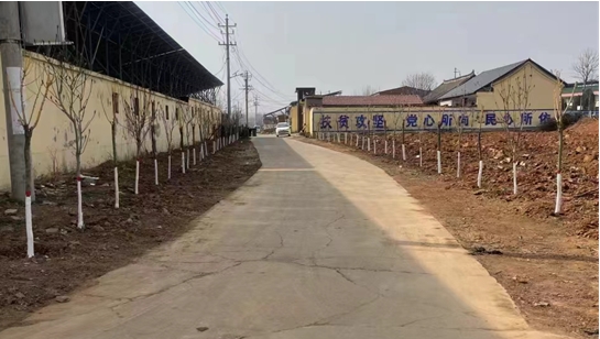 三门峡市渑池县张村镇:打造森林乡村 建设活力张村-大象网