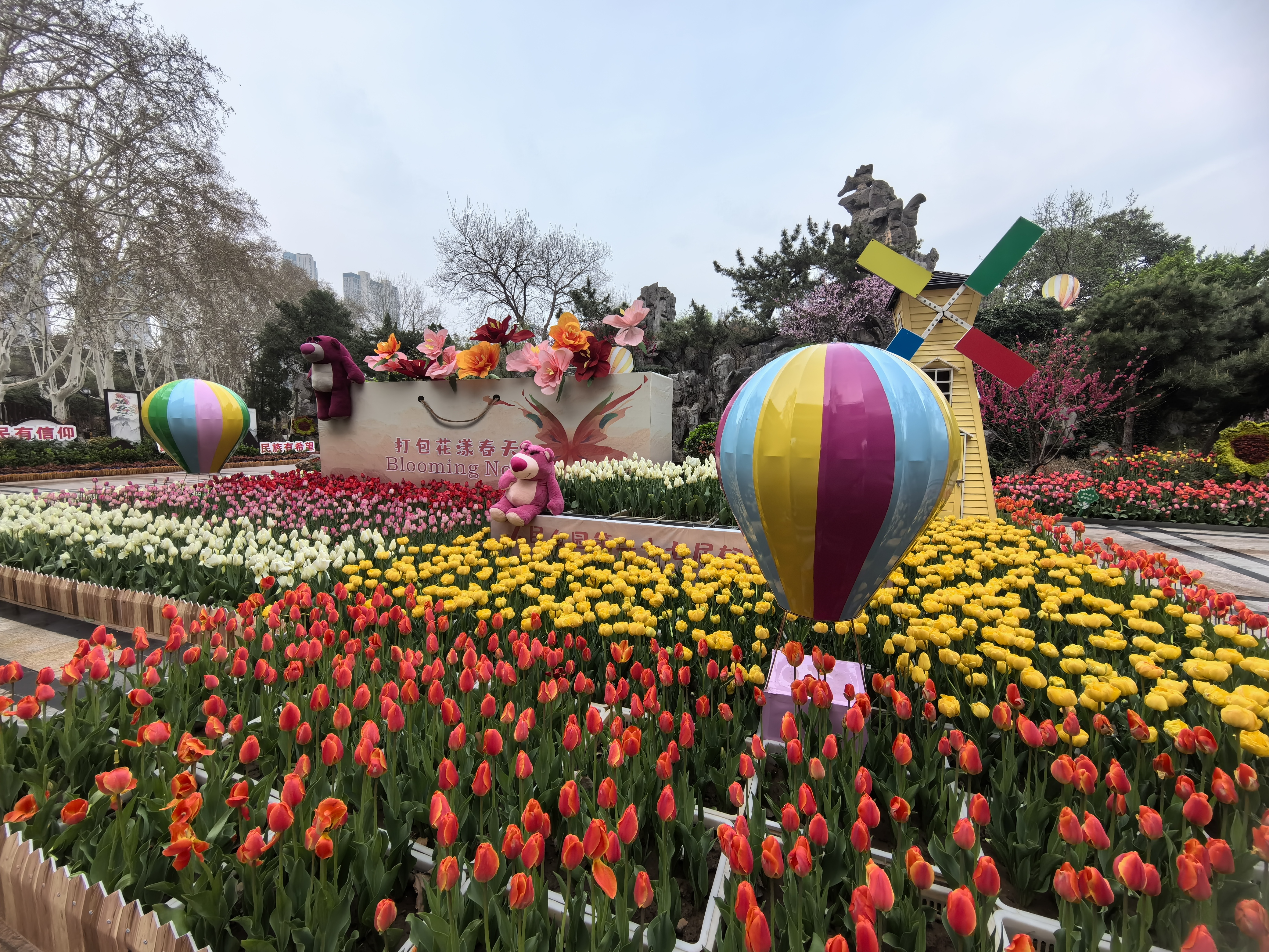 赏花又添新地 郑州市人民公园 第二十七届郁金香花展来了-大象网