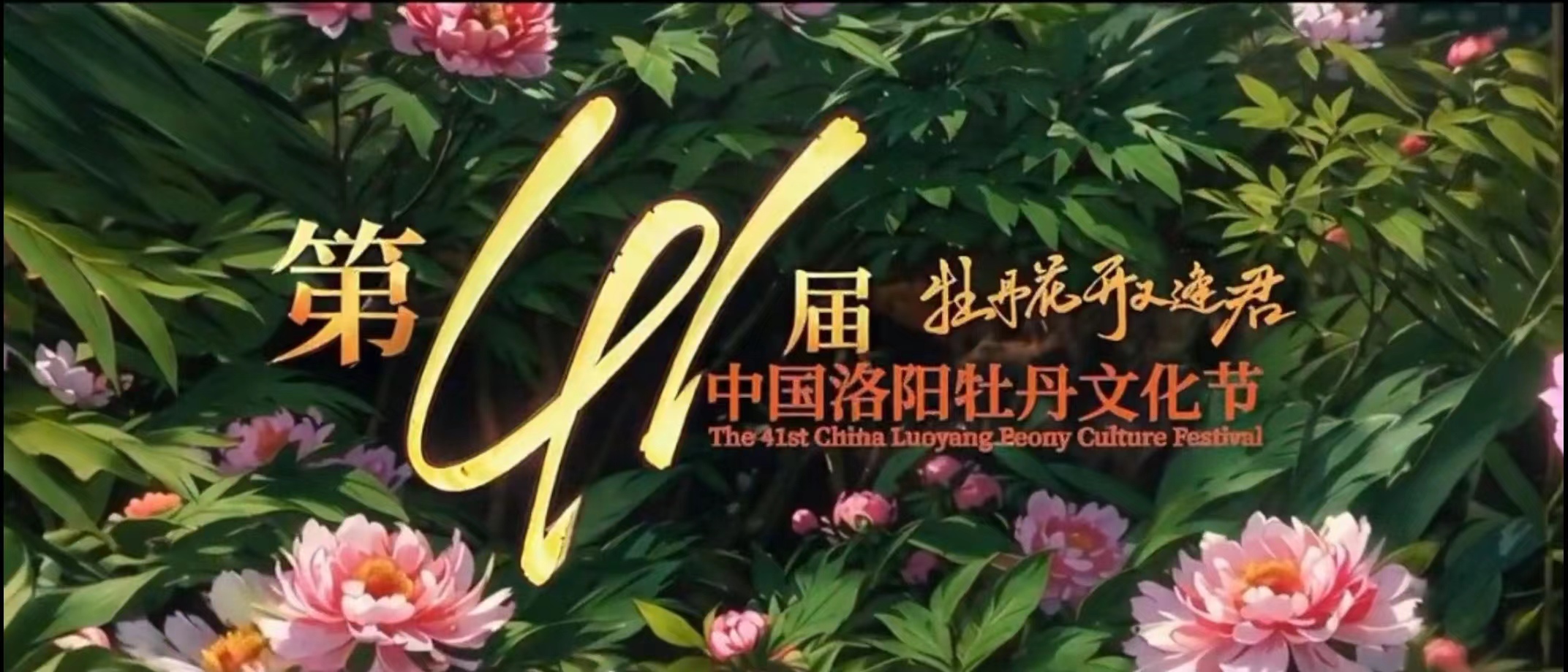 跟着这部ai宣传片去洛阳看牡丹-大象网