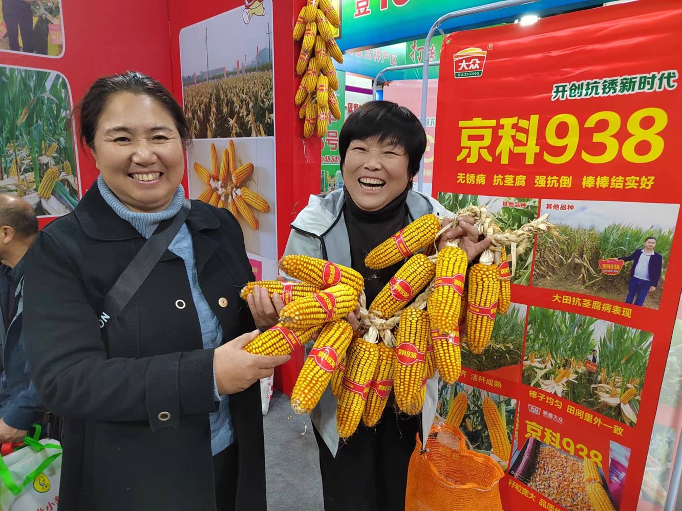 这个玉米品种亩产1018.6kg-大象网