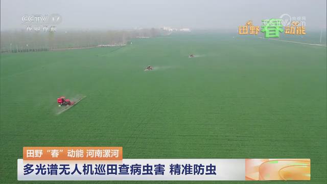 【央视关注河南漯河】多光谱无人机巡田查病虫害 精准防虫
