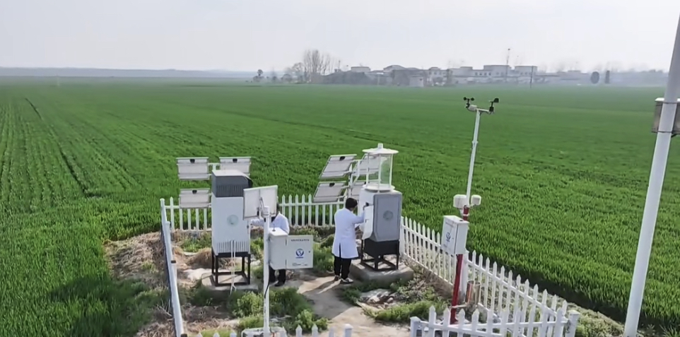 南阳市邓州市:遥感卫星巡田 助力小麦春管-大象网