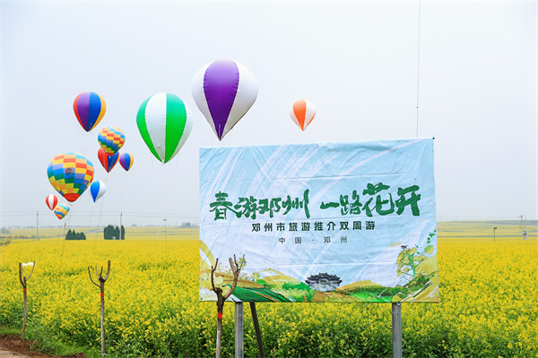 透过油菜花海 感受邓州的梦想和担当-大象网