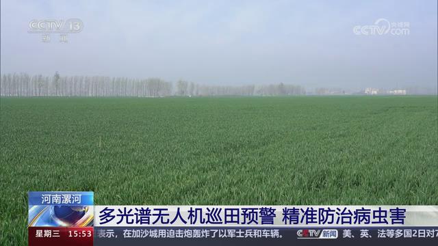 【央视关注河南漯河】多光谱无人机巡田预警 精准防治病虫害