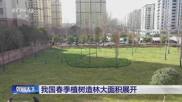 【央视关注河南项城】春季植树造林大面积展开