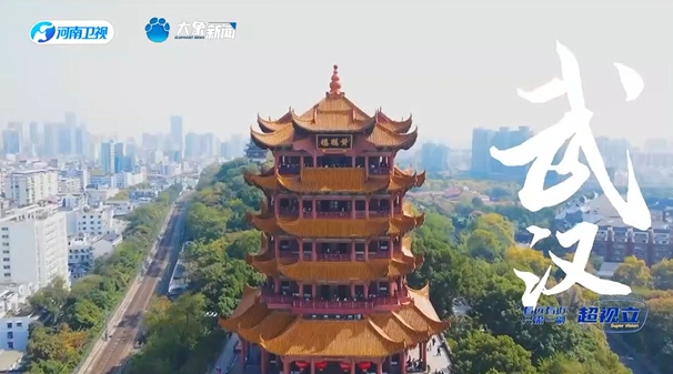 大象网-河南广播电视台-河南网络广播电视台