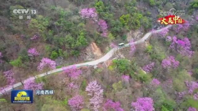 【央视联播关注河南】大美中国：河南西峡