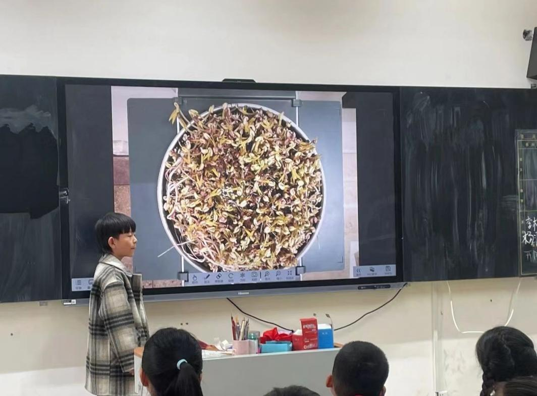管城区春晓小学开展“植此青绿，静待花开”特色种植课程