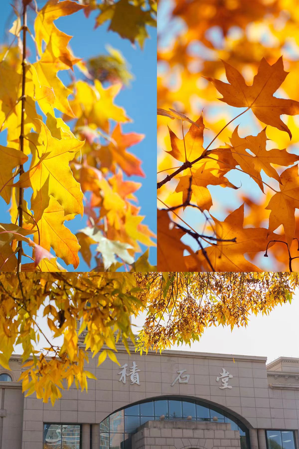 ѧУ¼ȡ_ʡ¼ȡ_¸߿ʡ¼ȡ