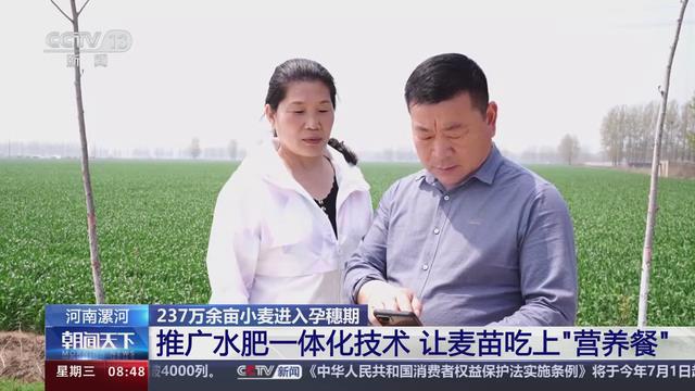 【央视关注河南漯河】推广水肥一体化技术 让麦苗吃上“营养餐”