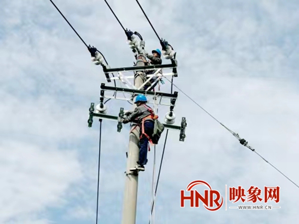 国网泌阳县供电公司：线路集中检修为电网“强筋壮骨”