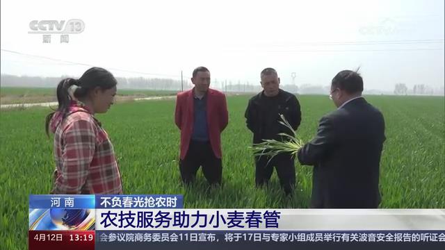 【央视关注河南】农技服务助力小麦春管
