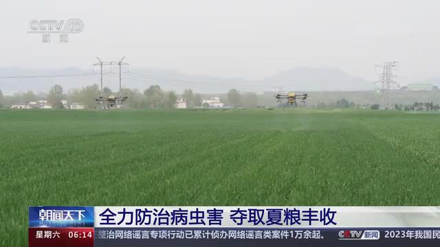 【央视关注河南】全力防治病虫害 夺取夏粮丰收