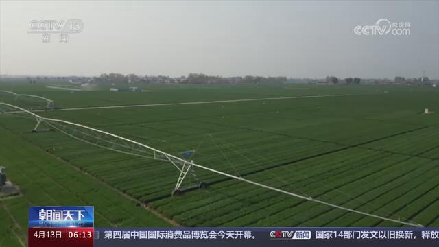 【央视关注河南】新品种新技术新模式 提升春耕春管质量