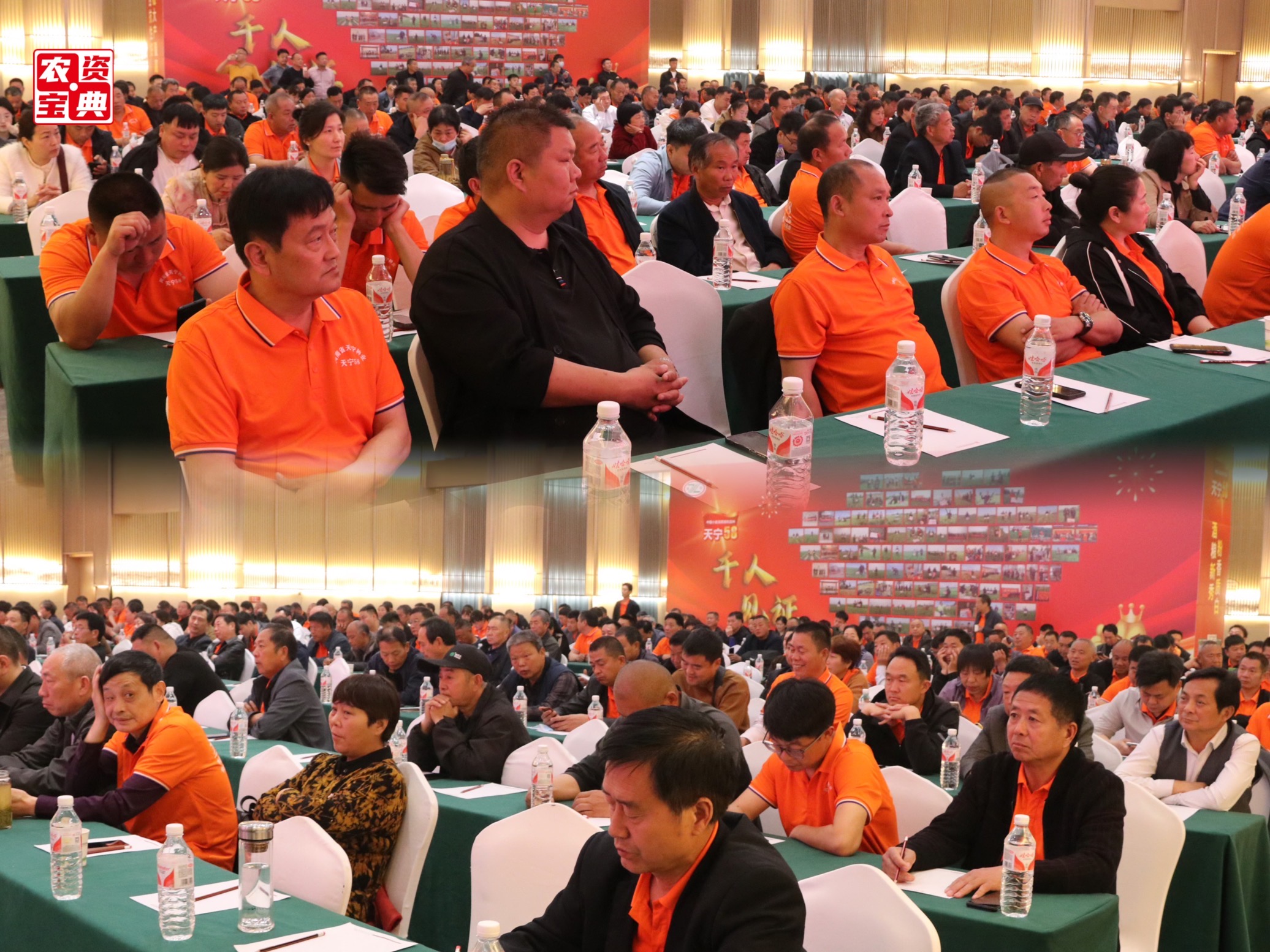 麦向酒粮芯时代!天宁种业"天宁58"战略启动大会举办-大象网