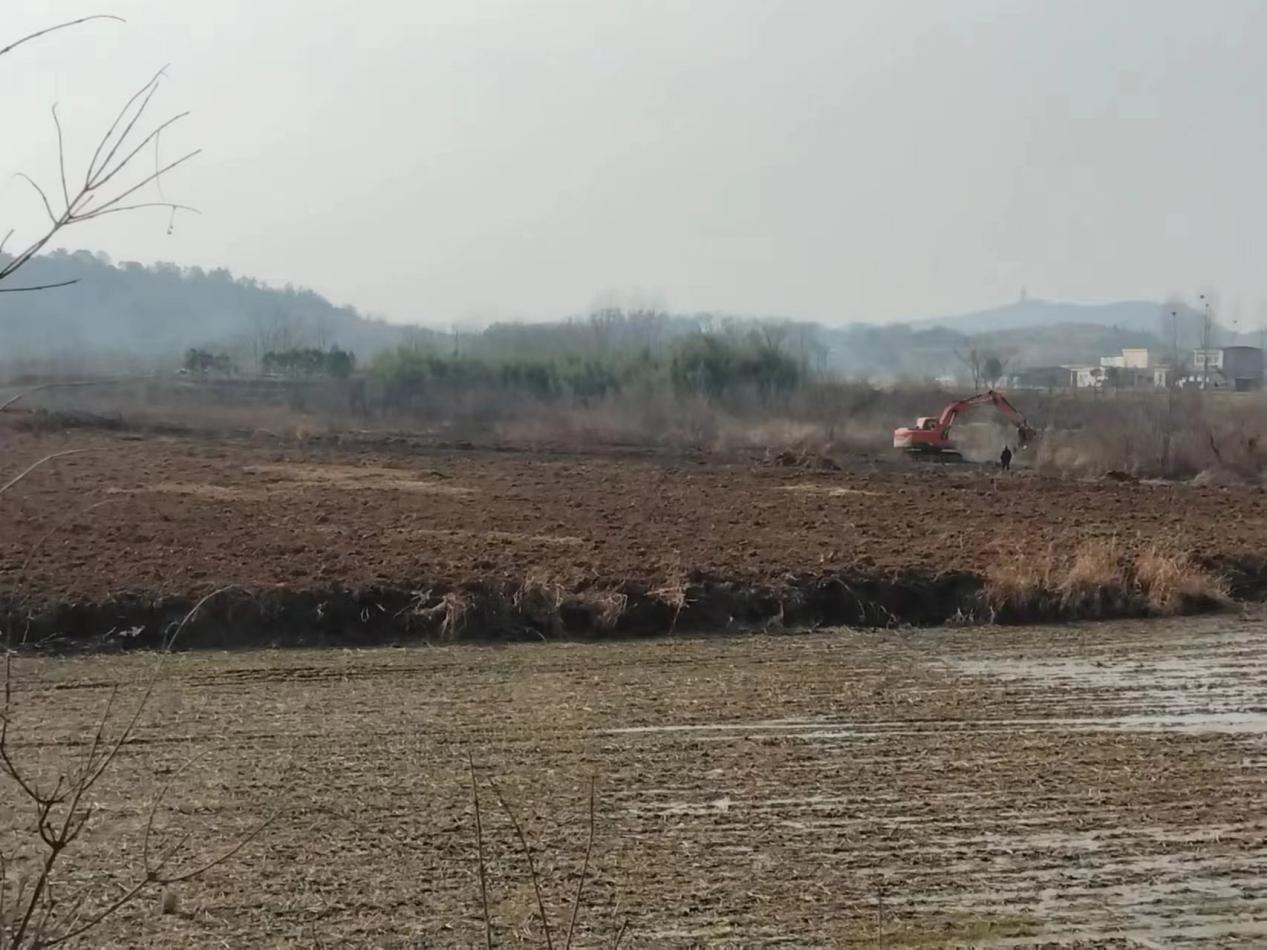 光山县晏河乡:抢抓农时种药材 不负春光促增收-大象网