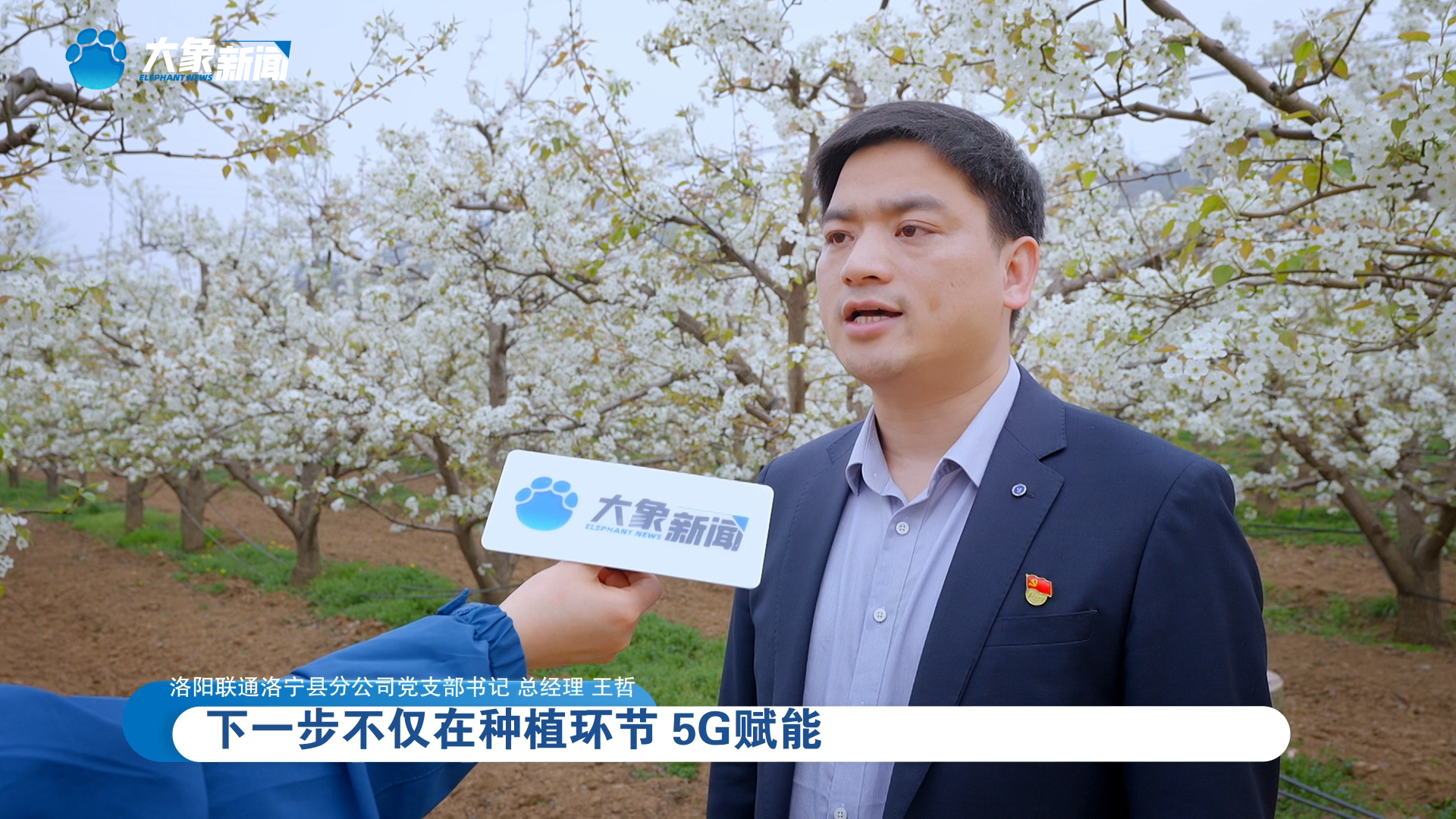 洛阳联通洛宁县分公司党支部书记,总经理 王哲:下一步不仅在种植环节