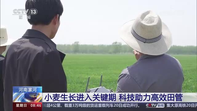 【央视关注河南漯河】小麦生长进入关键期 科技助力高效田管