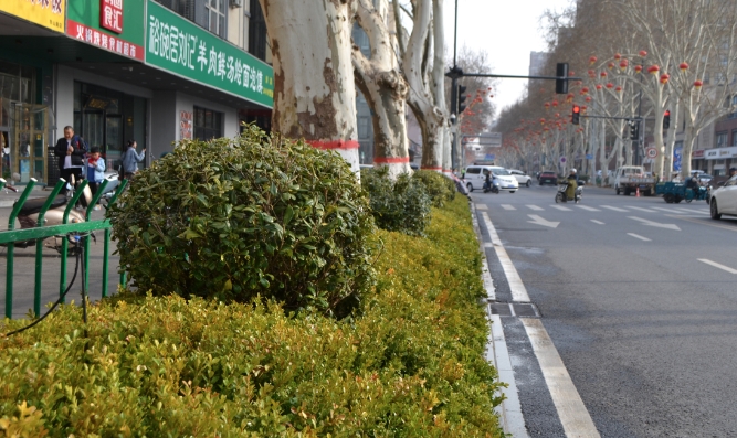 风景在“路”上，郑州华山路迎来“大变身”