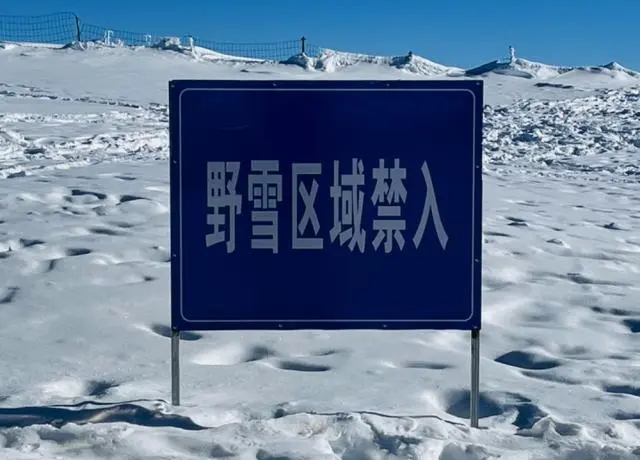 游客滑雪掉进暗坑身亡,野雪区域有滑雪者拍到熊脚印-大象网