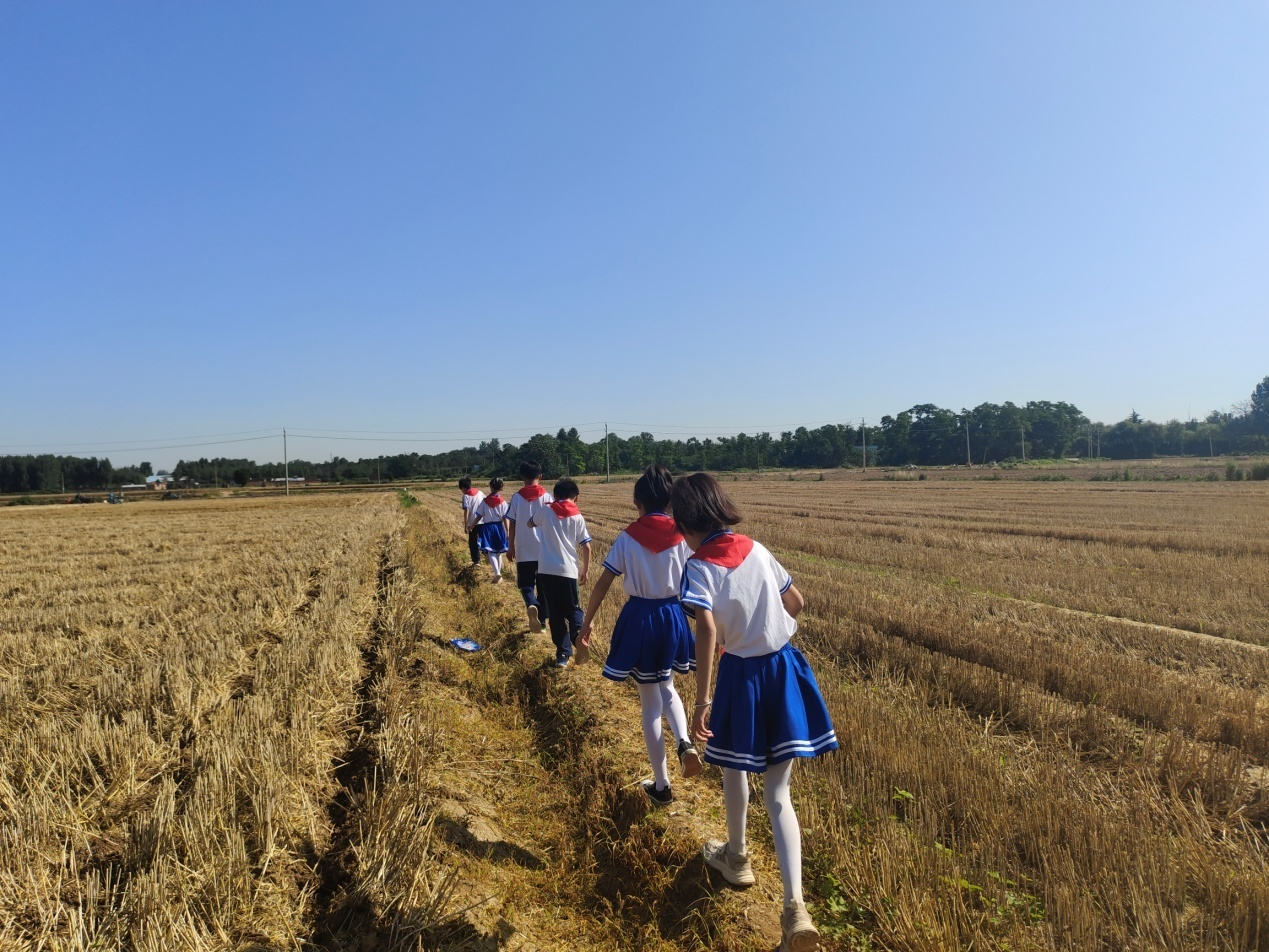 山城区故县中心小学少先队活动案例《田埂上的"兴农梦"》中的一张照片