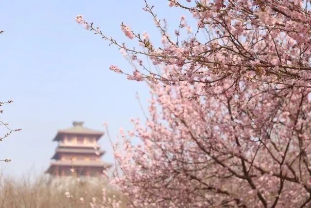 2条前往二七区候寨乡樱桃沟景区的直达专线配备10台机动车辆,2条线路