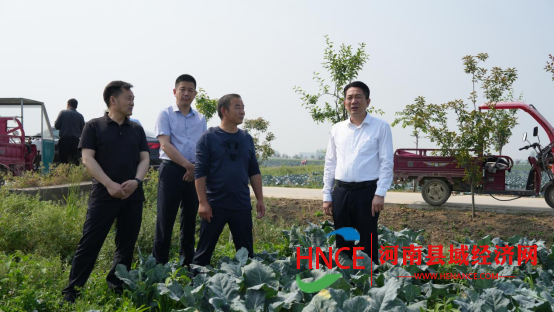 息县人民政府县长郑春到部分乡镇 调研指导工作