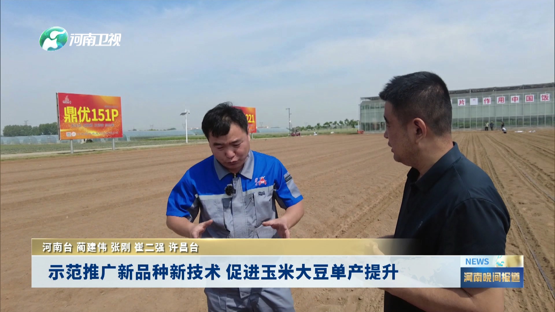 江苏三好种业举办观摩会,小麦品种徐麦100获好评