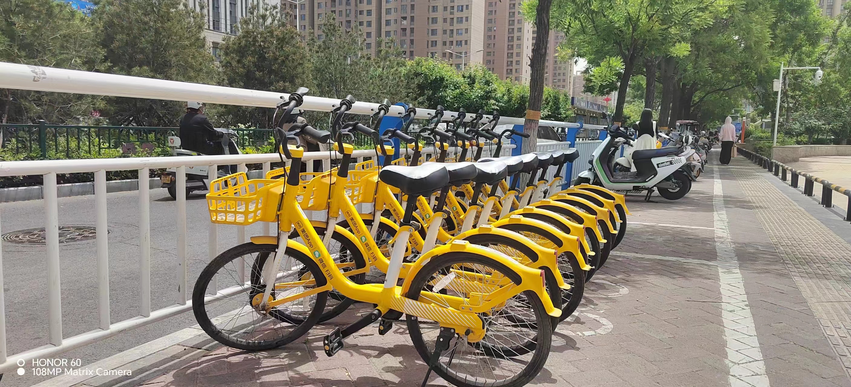 郑州共享单车清凉坐垫上线 为出行降降温