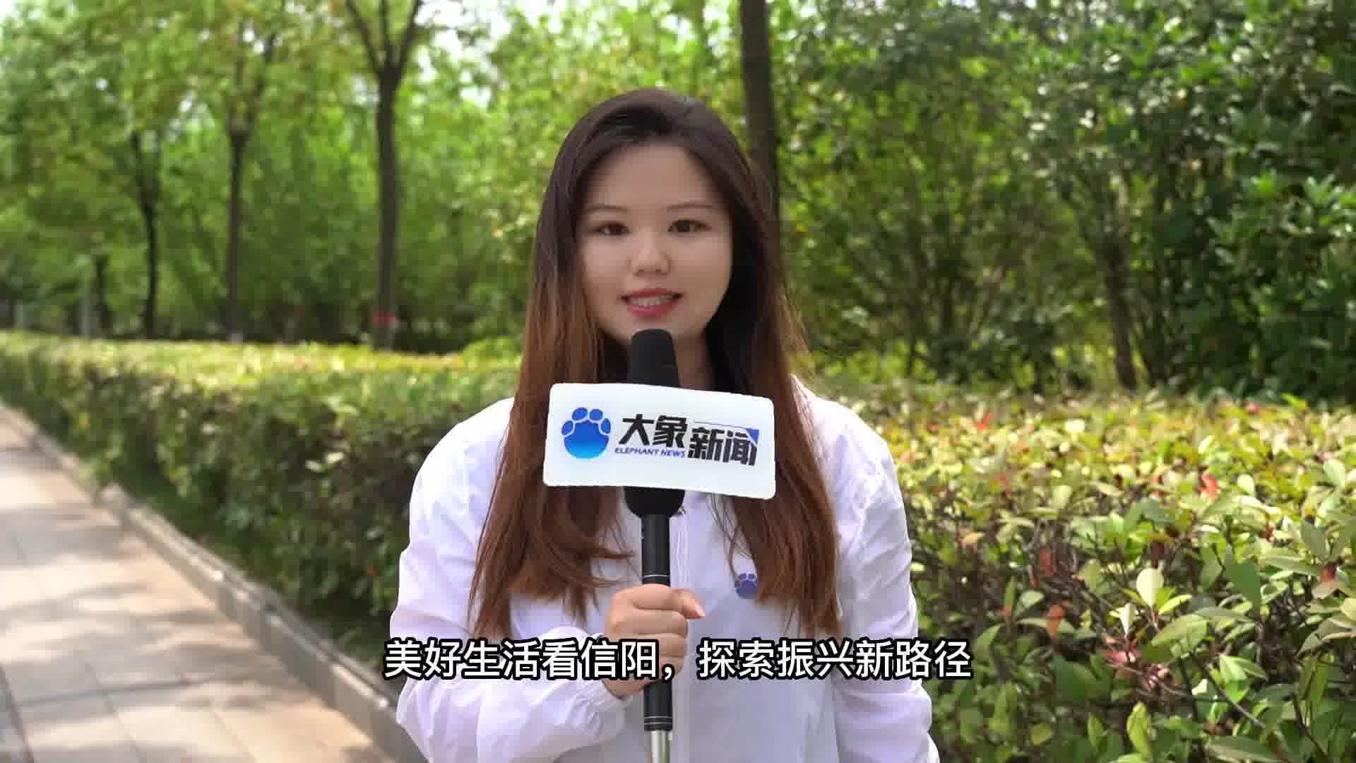 美好生活看信阳潢川县双柳树镇天桥村筑巢引凤踏新程探索乡村振兴新