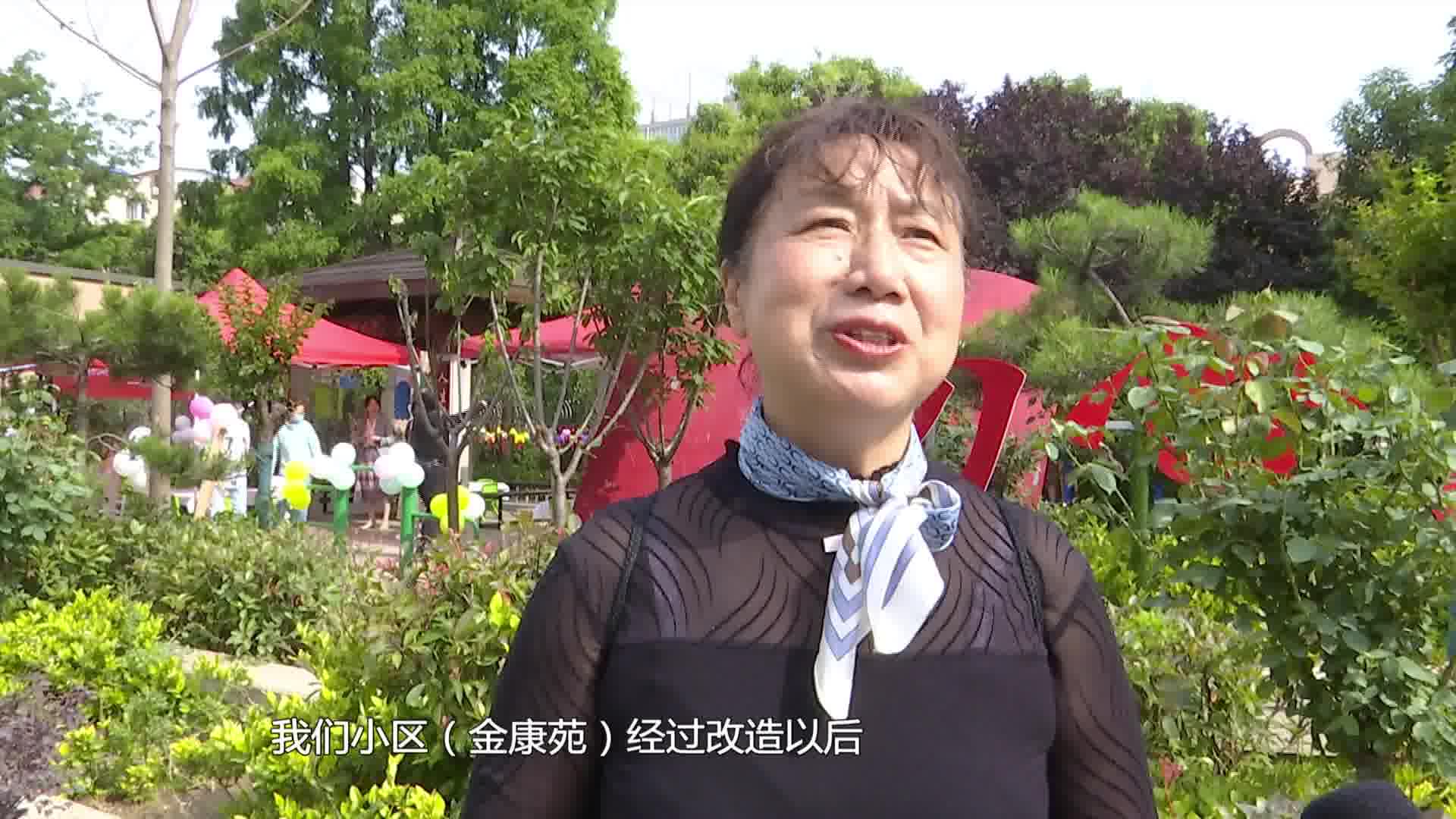 开封市示范区优秀社区书记二刘芳