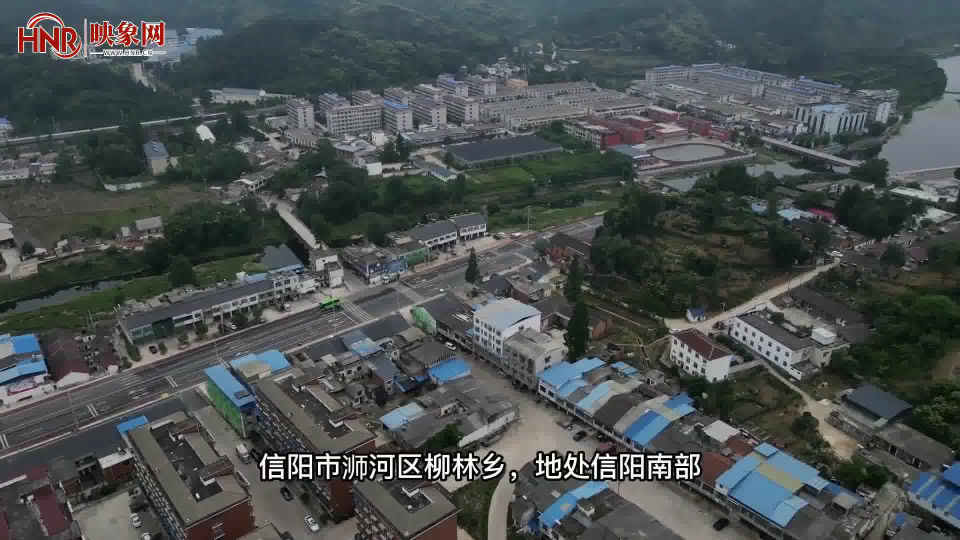 信阳市浉河区柳林乡:从"靠山吃山"到走出绿色发展新道路 柳林特色产业