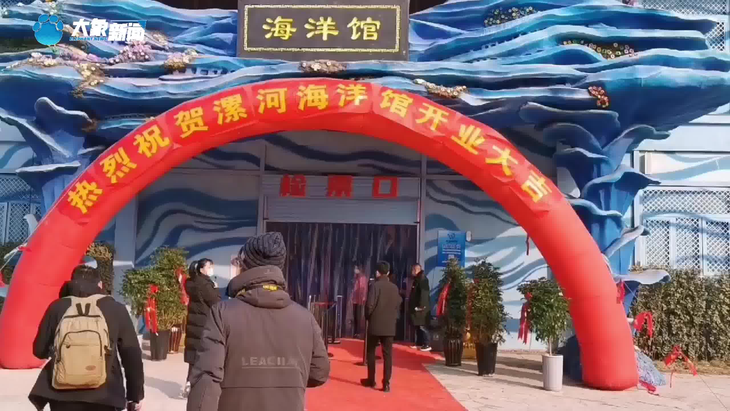 海洋生物500多种万余条漯河市首家海洋馆惊艳亮相
